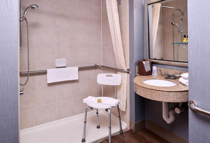 Номер Стандарт Кровать Кинг Адаптированный для Инвалидов, Best Western Plus University Inn