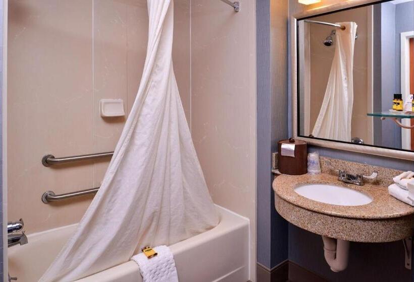 适合残疾人士使用的带超级大床的标准间, Best Western Plus University Inn