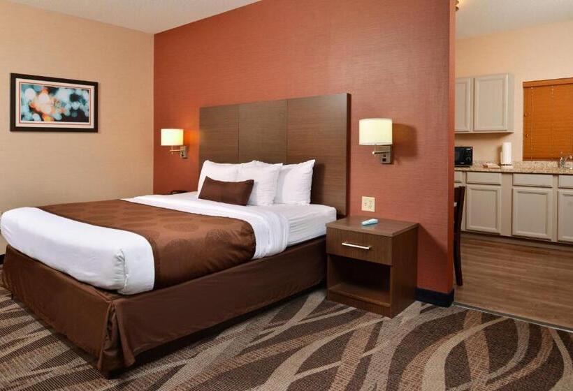 带大床的标准间, Best Western Plus University Inn