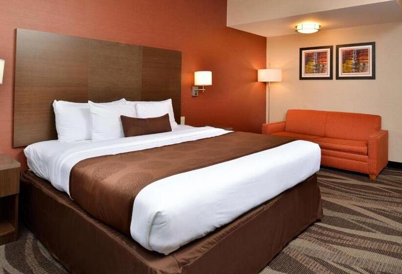 带大床的标准间, Best Western Plus University Inn