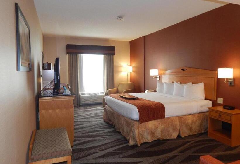 标准间, Best Western Plus University Inn