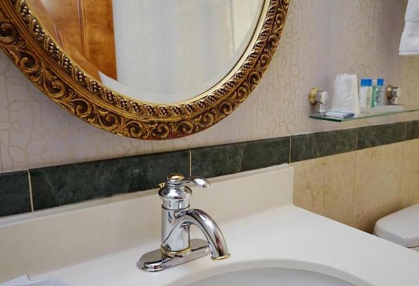 غرفة قياسية سرير كينج, Best Western Queens Court