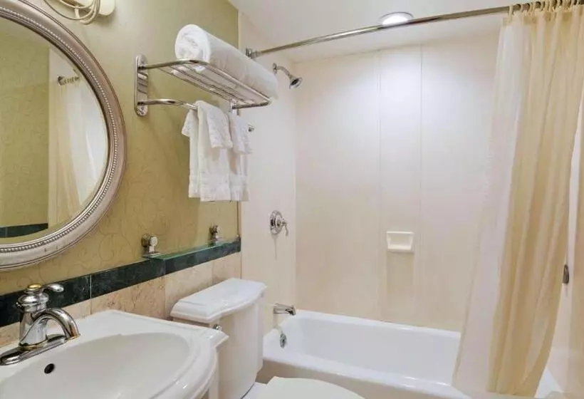 身障者適用スタンダードルーム, Best Western Queens Court