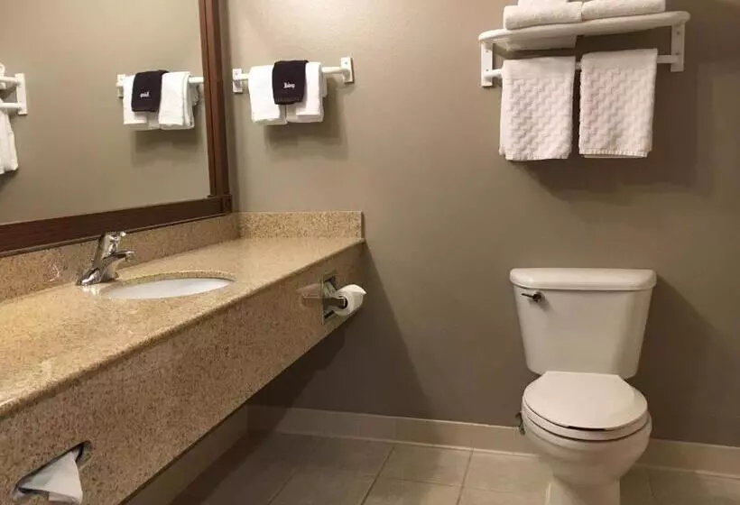 Standard-huone King-vuode, Best Western Wheatland Inn