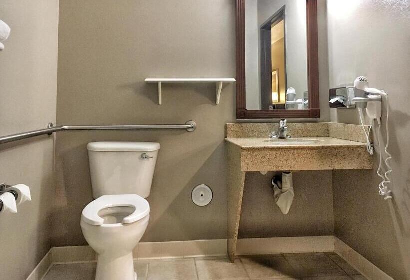 Номер Стандарт Кровать Кинг Адаптированный для Инвалидов, Best Western Wheatland Inn