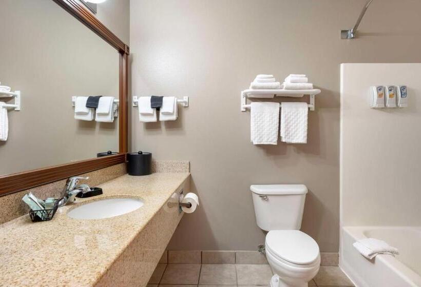 غرفة قياسية, Best Western Wheatland Inn