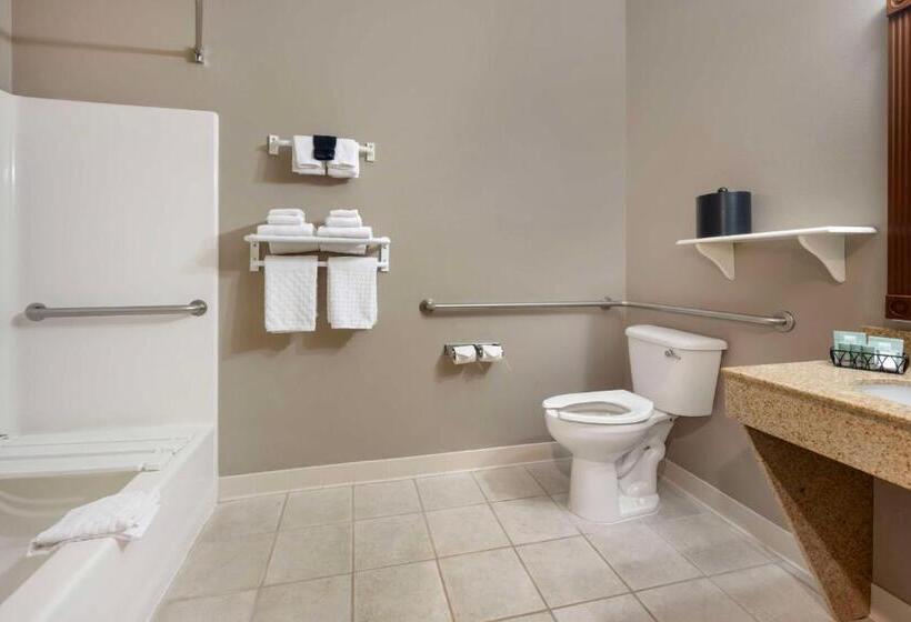 غرفة قياسية سرير كينج لذوى الإحتياجات الخاصة, Best Western Wheatland Inn