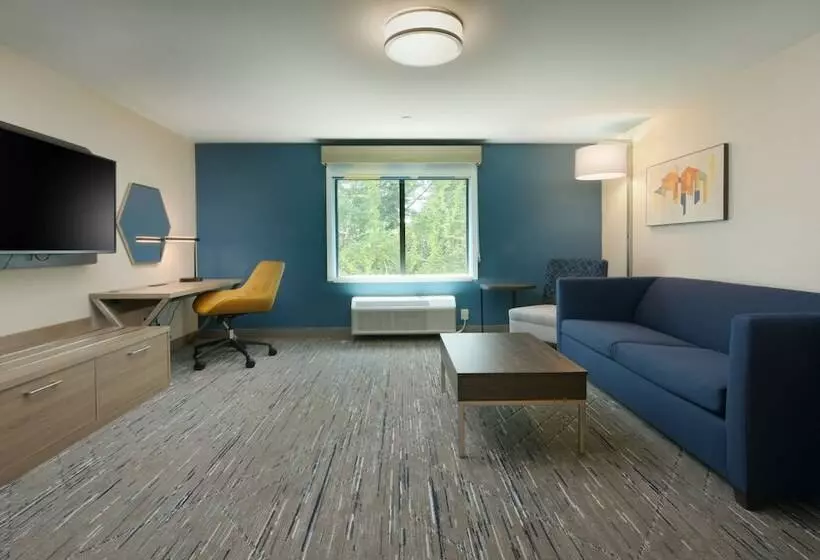 スイート, Holiday Inn Express & Suites   Williamstown   Glassboro, An Ihg
