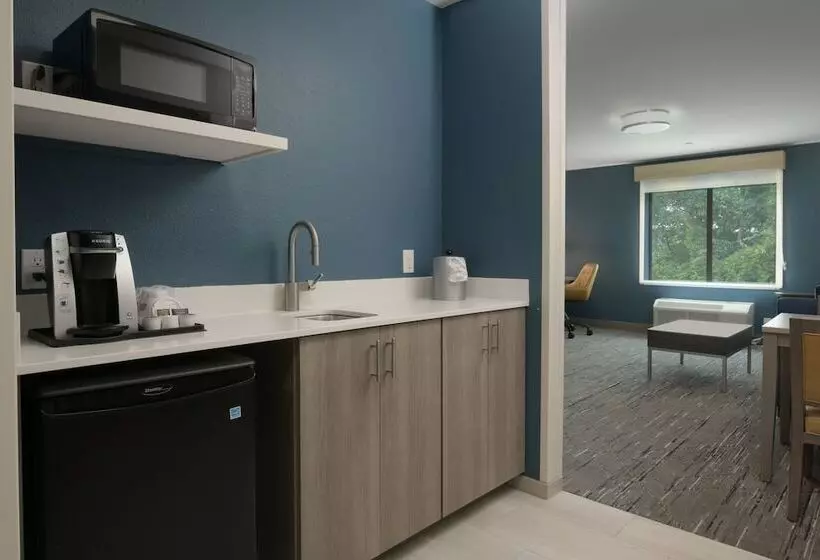 スイート, Holiday Inn Express & Suites   Williamstown   Glassboro, An Ihg