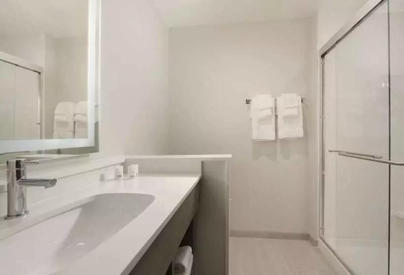 スタンダードルーム, Holiday Inn Express & Suites   Williamstown   Glassboro, An Ihg
