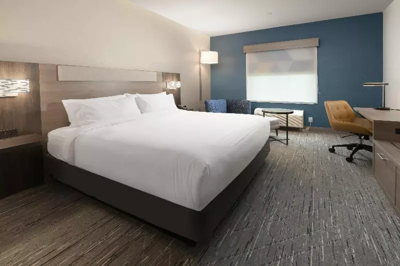 キングサイズベッドのスタンダードルーム, Holiday Inn Express & Suites   Williamstown   Glassboro, An Ihg