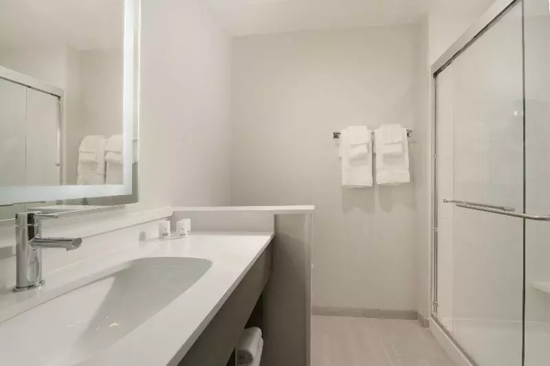 キングサイズベッドのスタンダードルーム, Holiday Inn Express & Suites   Williamstown   Glassboro, An Ihg