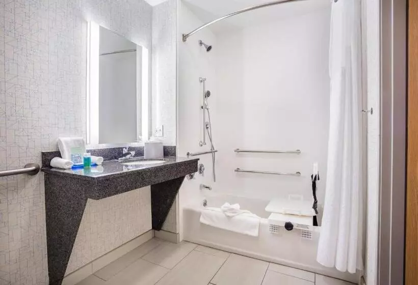 身障者適用キングサイズベッドルーム, Holiday Inn Express Wisconsin Dells, An Ihg