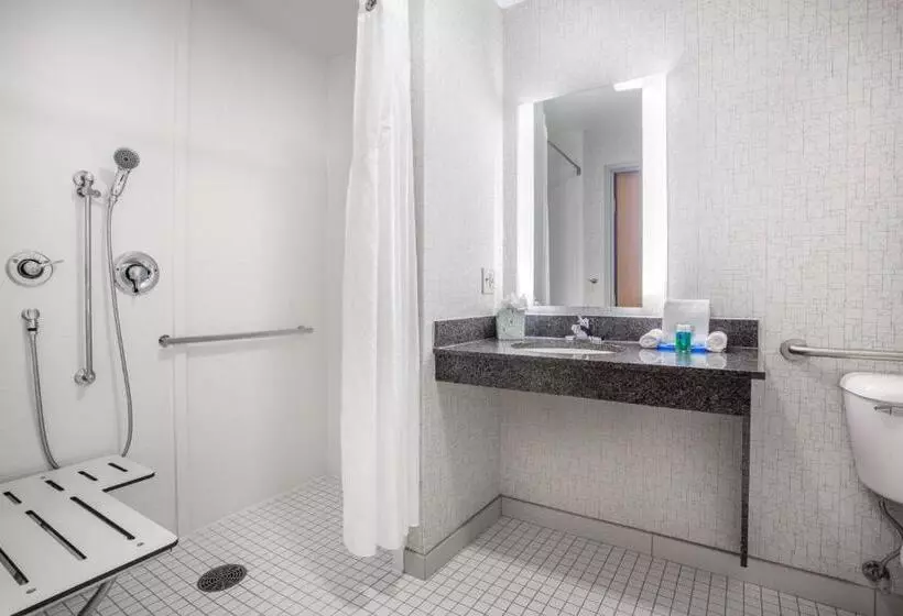身障者適用キングサイズベッドルーム, Holiday Inn Express Wisconsin Dells, An Ihg