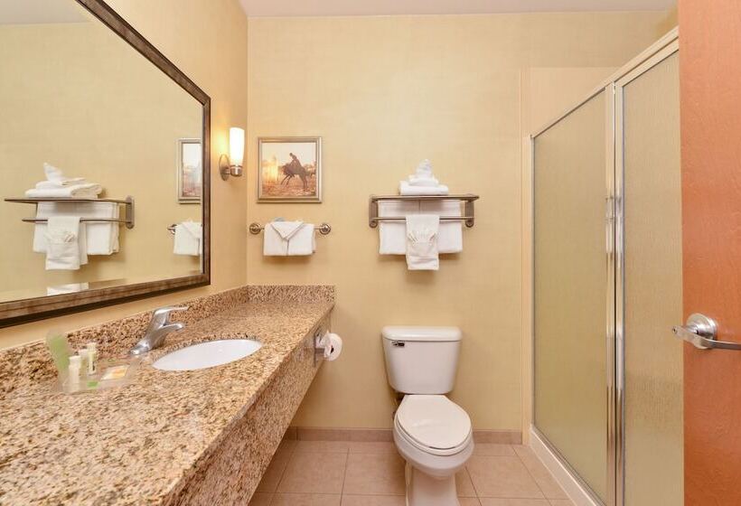 スイート, Holiday Inn Laramie, An Ihg