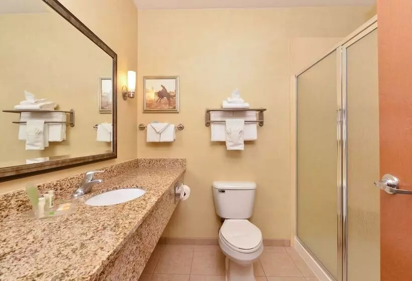 スイート, Holiday Inn Laramie, An Ihg