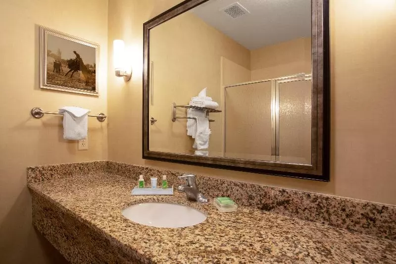 キングサイズベッドのエクゼクティブルーム, Holiday Inn Laramie, An Ihg
