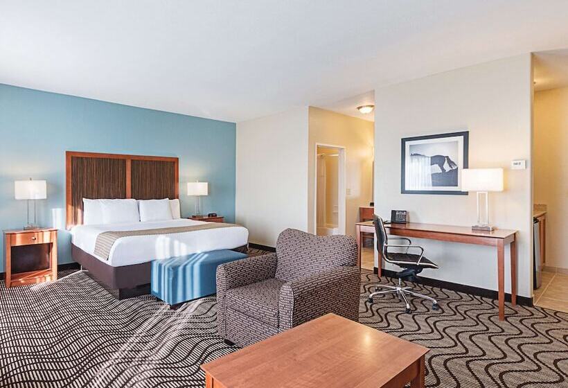 豪华套房, La Quinta By Wyndham Mathis