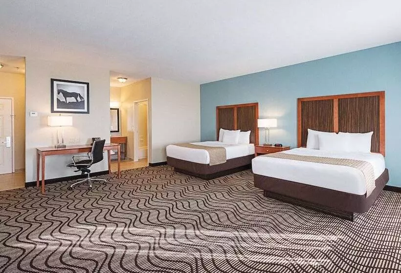 デラックススイート, La Quinta By Wyndham Mathis