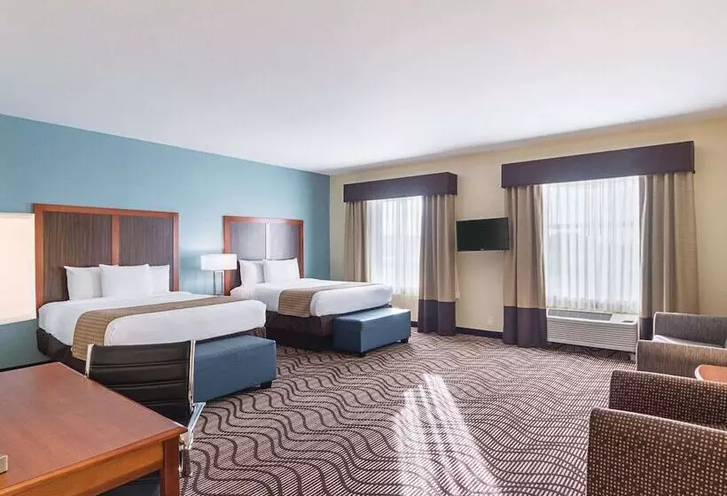 障害者適応デラックスルーム, La Quinta By Wyndham Mathis