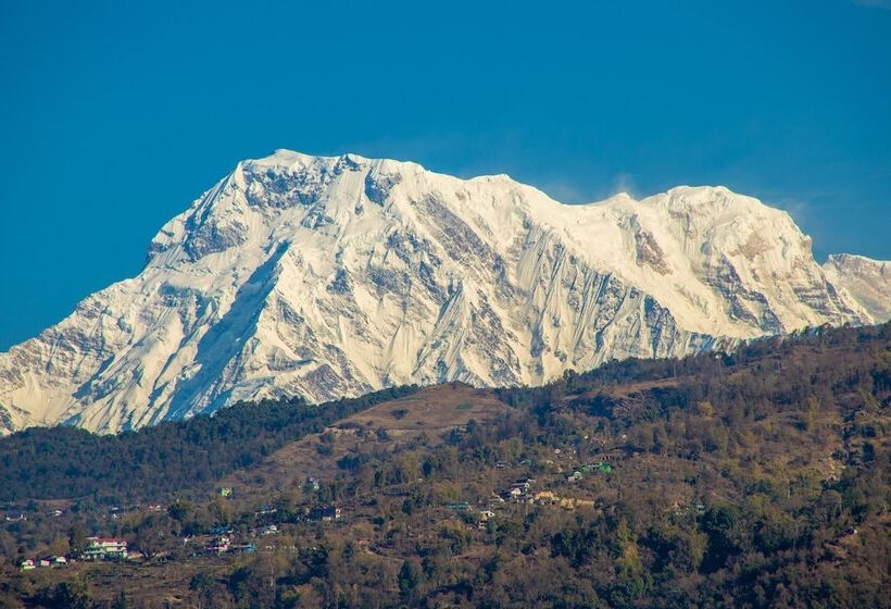 سوییت اجرایی, Landmark Pokhara