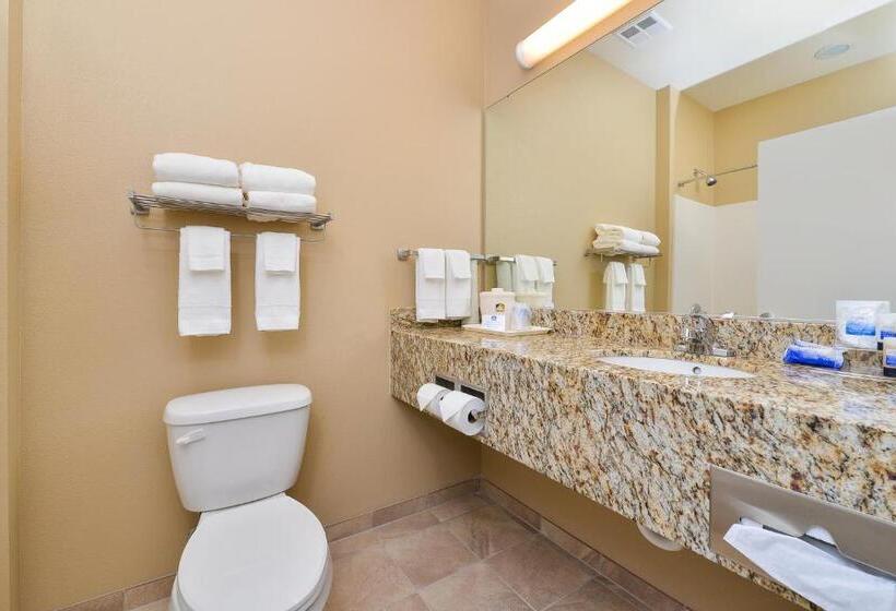 חדר דחוקס עם מיטת קינג, Surestay Hotel By Best Western Blackwell