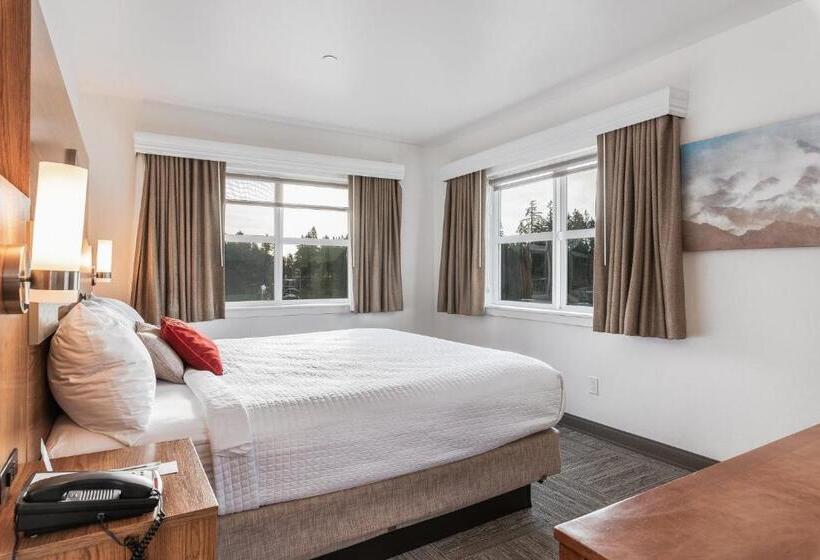 带大床的套房, Marshall Suites