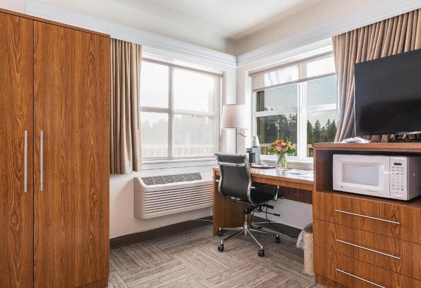 מיטת קינג בסוויטה, Marshall Suites