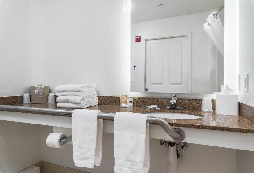 套房, Marshall Suites