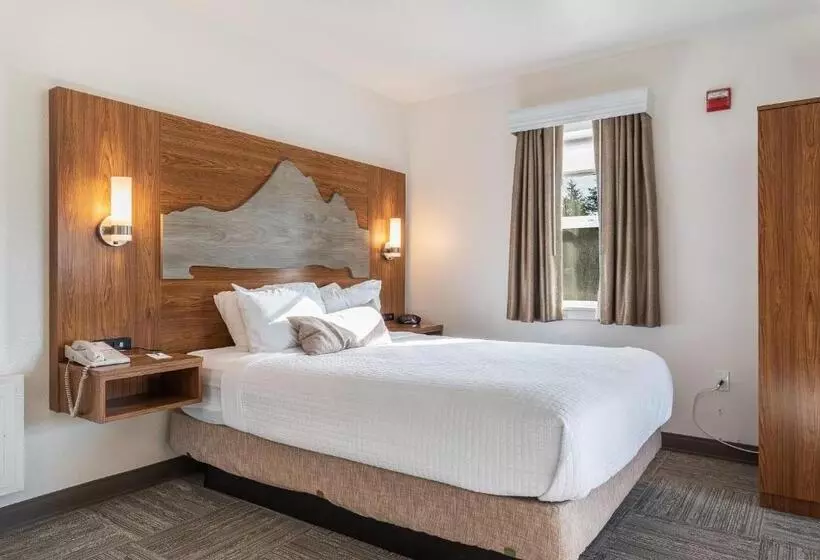 Standard-studio, Marshall Suites