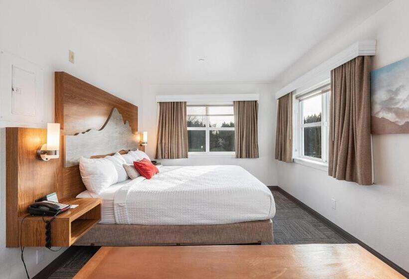 חדר סטודיו סטנדרד, Marshall Suites