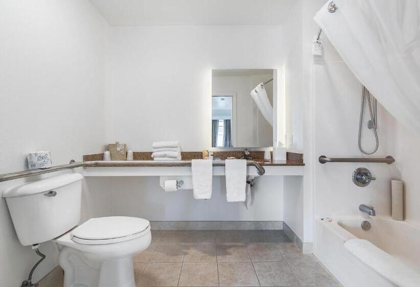 标准工作室, Marshall Suites