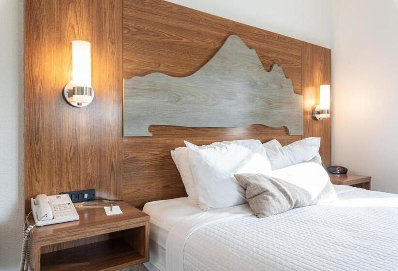 מיטת קינג בסוויטה, Marshall Suites