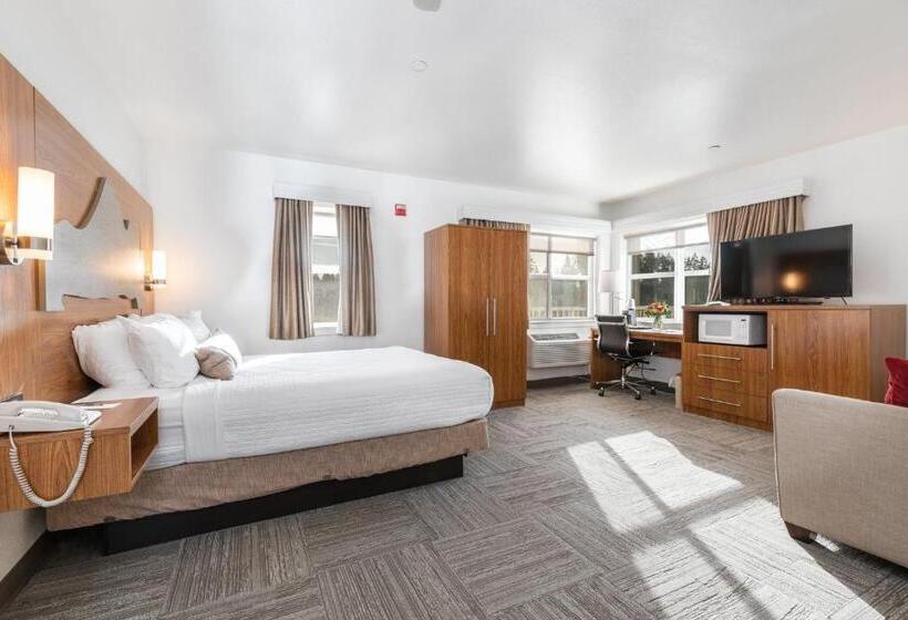 带大床的套房, Marshall Suites