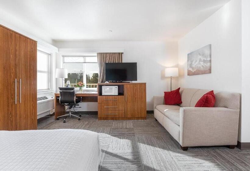 מיטת קינג בסוויטה, Marshall Suites