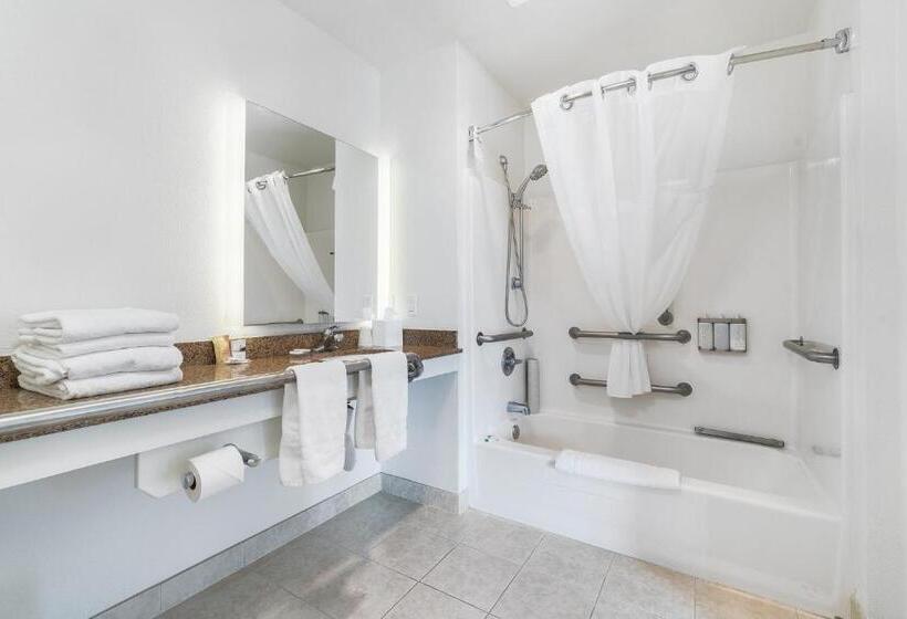 带大床的套房, Marshall Suites