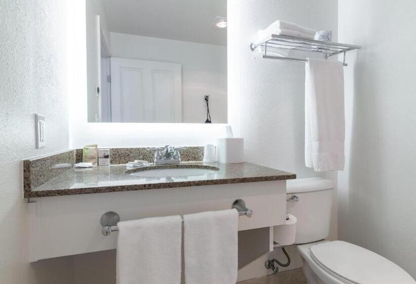 מיטת קינג בסוויטה, Marshall Suites