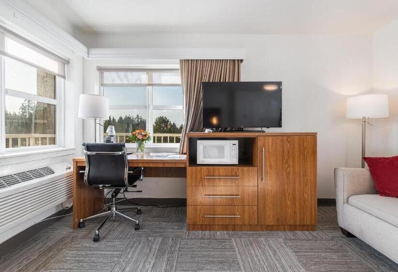 חדר סטודיו סטנדרד, Marshall Suites