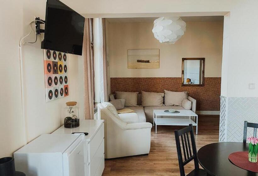 استودیو استاندارد با تخت کینگ, Central Sopot