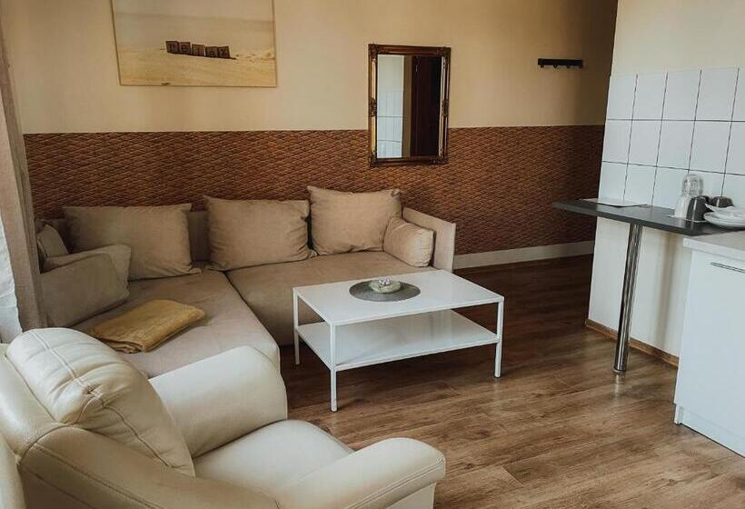 استودیو استاندارد با تخت کینگ, Central Sopot