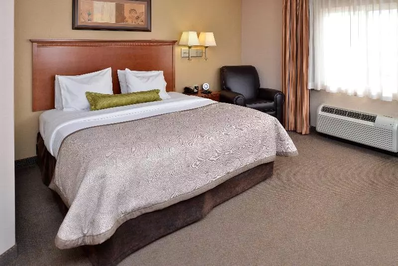 استودیو استاندارد با تخت کینگ, Candlewood Suites Williston, An Ihg