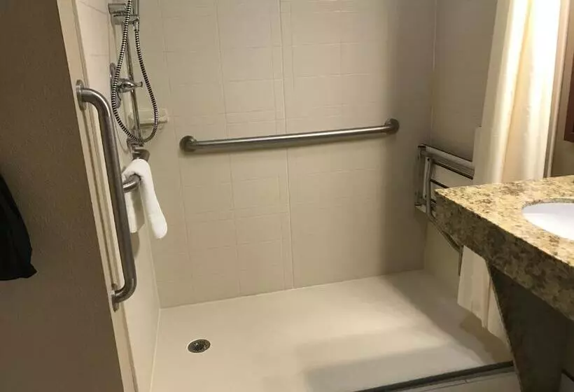 身障者適用キングサイズベッドルーム, Best Western Plus Crawfordsville