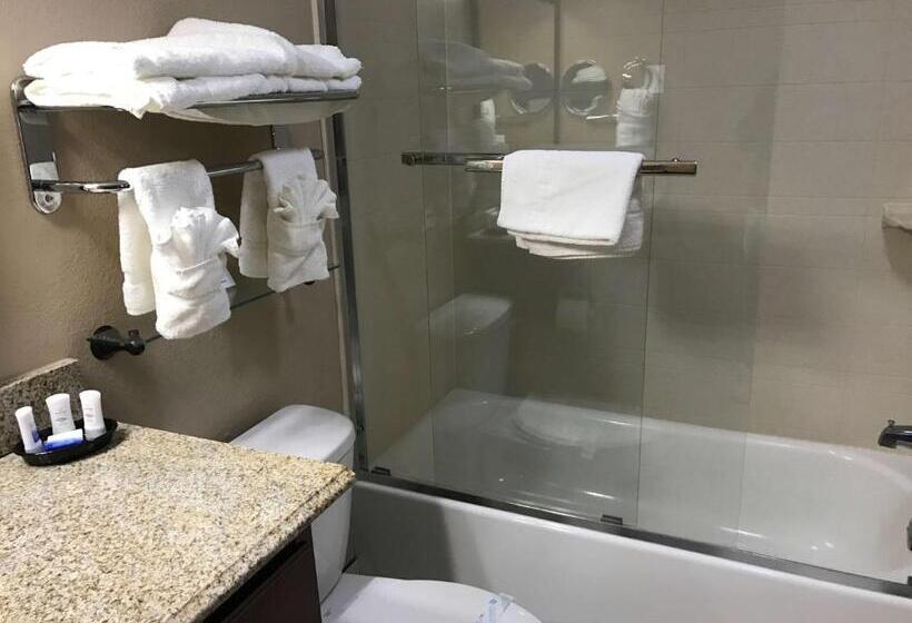 غرفة قياسية سرير كينج, Best Western Plus Crawfordsville