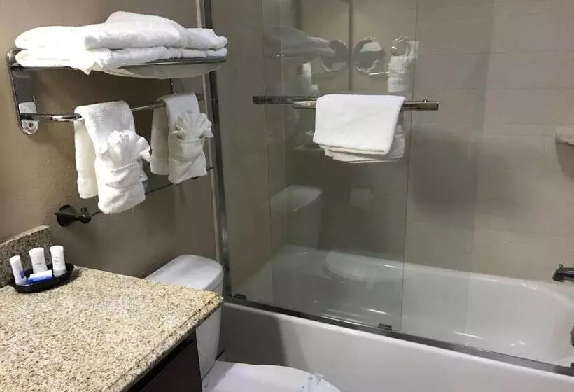 キングサイズベッドのスイートルーム, Best Western Plus Crawfordsville