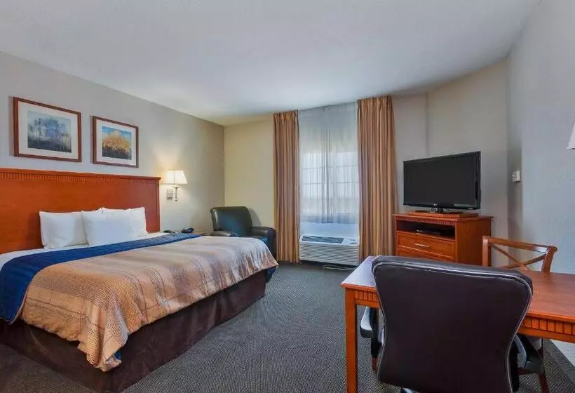 スタンダードスタジオ, Candlewood Suites Decatur Medical Center, An Ihg