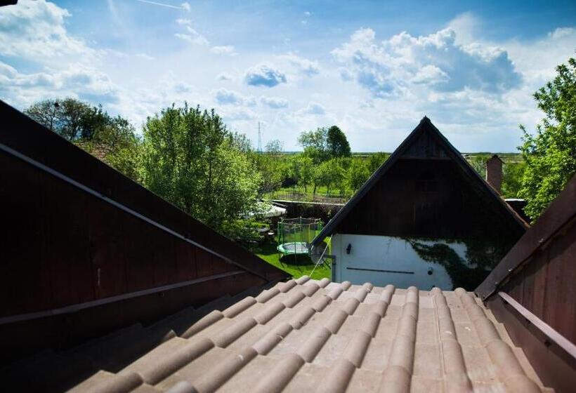 Номер Стандарт, Casa Mosului