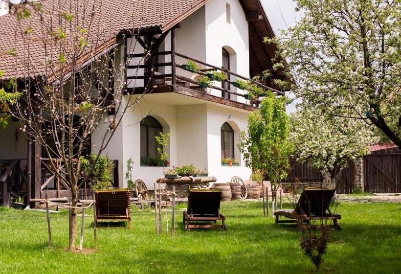 Дом 1 Спальня, Casa Mosului