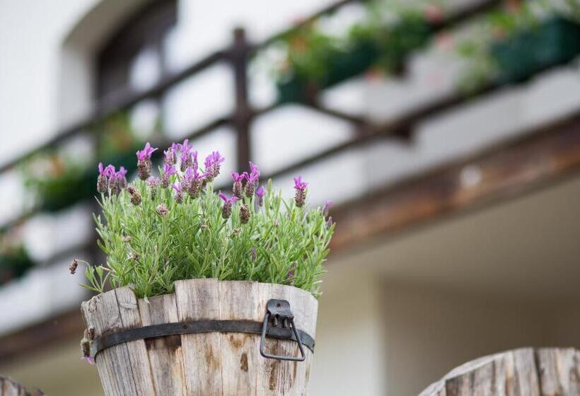 침실 1개 주택, Casa Mosului