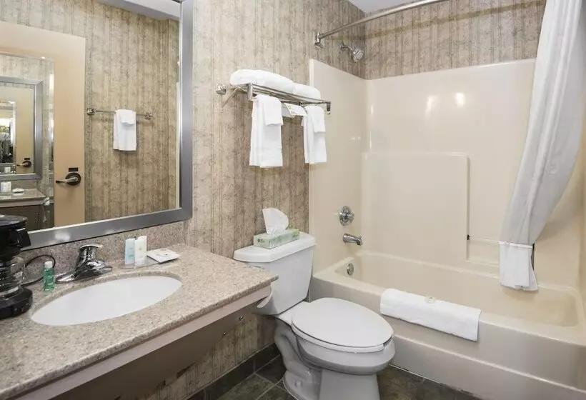 スイート, Comfort Inn & Suites Conway