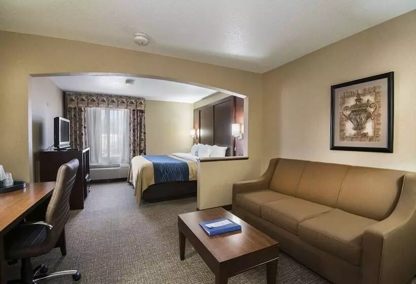 スイート, Comfort Inn & Suites Conway